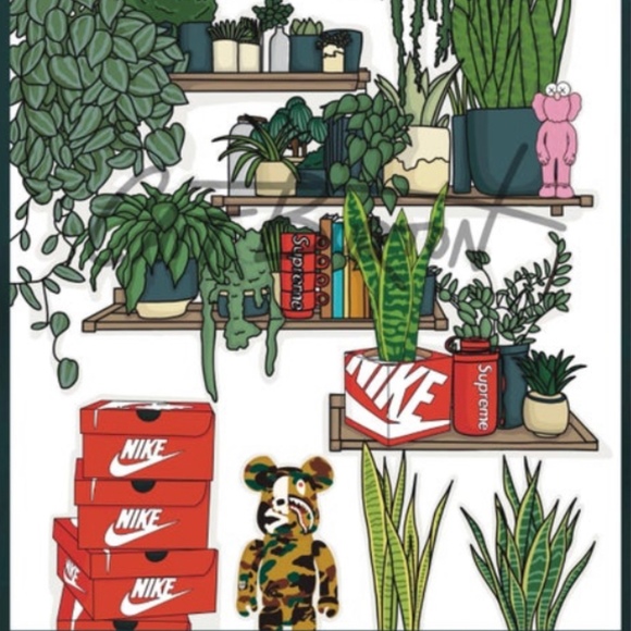 Meet your Posher, Anhad - Picture 1 of 1